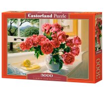 PUZZLE 3000EL CASTORLAND SUMMER REMINISCENCE PUD