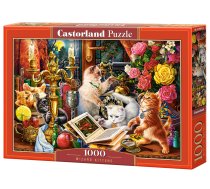 PUZZLE 1000EL CASTORLAND WIZARD KITTENS PUD14