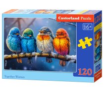 PUZZLE 120EL CASTORLAND TOGETHER WARMER PUD27