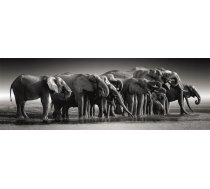 Clementoni Puzzle 1000 gab Panorama High Quality Herd Of Giants