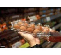 ENYO Lotki 011 Egg_10_pcs