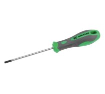 Skrūvgrieznis Torx T20 x 100 mm