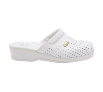 Scholl Clog Backguard - women's white clogs, size 36 | PRS005BIALY36  | 5038483284667 | SRHMLXZOS0069