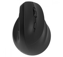 YENKEE Ergonomic right-handed wireless mouse, Dual WL+BT | UMYENRBDMS2060P  | 8590669347650 | YMS 5060P