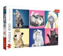 Trefl Puzzle Kittens 500 pcs | WZTRFT0UJ073776  | 5900511373776 | 37377