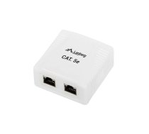 Lanberg Surface mount box 2x RJ45 Cat.5E white | NULAGMR45000004  | 5901969404289 | OS5-0002-W