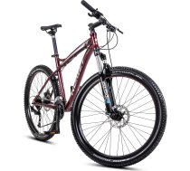 Dviratis Romet Rambler FIT 26 2024 bordo-sudrabs