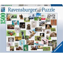 Ravensburger puzzle Funny Animals Collage 1500p 16711