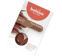 Bolsius Tējas sveces arom. 6 gab.True Scents oud wood