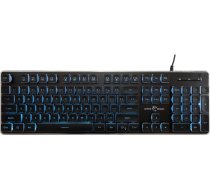 White Shark GK-003141 Tachi Black US