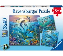 Ravensburger Puzzle Ocean Life 3 x 49 Pc Puzzle 5149