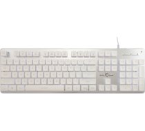 White Shark GK-003241 Tachi White US