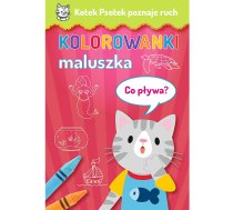 KOTEK PSOTEK POZNAJE RUCH - CO PŁYWA?