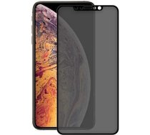 Devia Real Series 3D Full Screen Privacy Tempered Glass iPhone XS Max (6.5) black