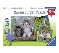 Ravensburger puzle 3X49 Kittens R 08046