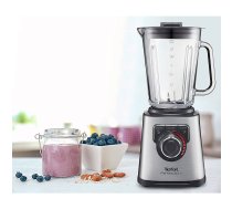 TEFAL blenderis Perfect Mix+, 1200W, silver BL811D38