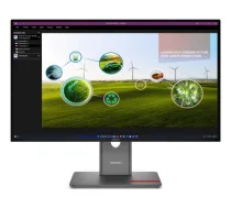 Lenovo ThinkVision P27Q-40 - LED-Monitor - 68.6 cm (27")