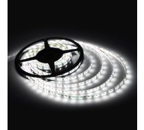 LED lente gaisma SMD 5050, 5m - Auksti balts | LED Light Strip