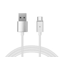 TYPE 1 USB to USB Type C Magnetic Charging Cable, 2A, 1m, Silver | Magnētisks Lādētājvads Kabelis