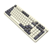 Darkflash DF98 Mocha Kailh slēdžu mehāniskā tastatūra | Switches Mechanical Keyboard