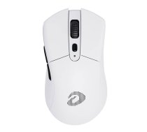Dareu A918X bezvadu pele balta | Wireless Mouse White
