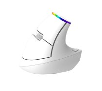 Bezvadu vertikālā pele Delux M618C 2.4G 1600DPI RGB (balta) | Wireless Vertical Mouse (white)