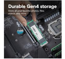Crucial SSD Disk E100 2TB M.2 NVMe 2280 PCIe 4.0 5000/4500 MB/s | CT2000E100SSD8 | 649528946164