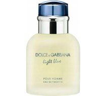 Alkotest DOLCE&GABBANA Light Blue Pour Homme EDT spray 40ml | 8057971180387 | 8057971180387