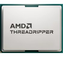 AMD Ryzen Threadripper 9960X, 4.2 GHz, 128 MB, OEM (100-000001595) | 100-000001595 | 8592978656393