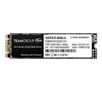TeamGroup MS30 512GB M.2 2280 SATA III (TM8PS7512G0C101) | TM8PS7512G0C101 | 0765441040977