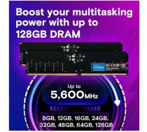 Crucial Memory DDR5 32GB/5600 CL46 (16Gbit) Tray | CT32G56C46U5T | 649528929853