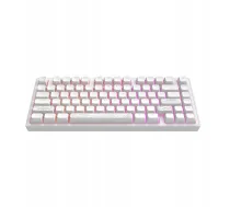 Dark Project ALU81A Terra Nostra White, G3MS Moonstone , RU | DPKB_NOSTRA_81_ANSI_WHITE_UA | 5292910036674 | 84716060