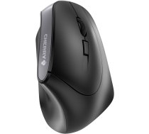 Mysz Cherry MW 4500 (JW-4500) | JW-4500 | 4025112088315