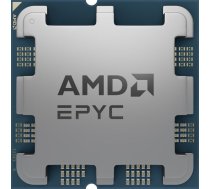 serwerowy AMD Epyc 4124P, 3.8 GHz, 16 MB, OEM (100-000001570) | 100-000001570