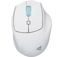 Mysz Sharkoon Sharkoon OfficePal M25W (white) | 4044951039654 | 4044951039654