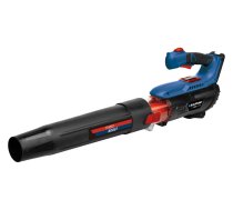 Blaupunkt CB4010 Leaf Blower | T-MLX59532 | 5901750507946