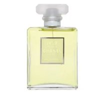 Chanel No 19 Poudre (EDP) Eau de Parfum for Women 100 ml (3145891194906)