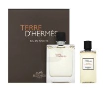 Hermes Hermès Terre D' gift set for men, Set I, 100 ml (PARF129774)