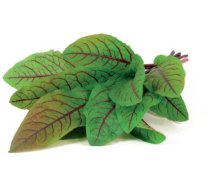 Click  AND amp; Grow Smart Garden refill Bloody Sorrel 3pcs 4742793007496 (4742793007496)