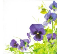 ![CDATA[E SALVETES 33X33CM PANSIES FRAME, Paw Decor Collection (PL11TL121900) | ARK_PL11TL121900  | 5906360244519]]