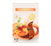 ![CDATA[Tējassveces arom. Grilled Peach 6gab. 3-4h New Brand 616163 (111530) | VRN_111530  | 5906927037684]]