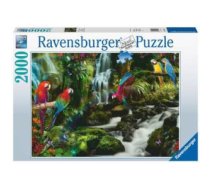 Ravensburger 17111 puzle 2000 pcs Dzīvnieki