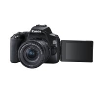 Canon EOS 250D + EF-S 18-55mm f/3.5-5.6 III SLR Camera Kit 24.1 MP CMOS 6000 x 4000 pixels Black