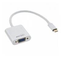 InLine 64104S video cable adapter 0.2 m USB Type-C VGA (D-Sub) Silver