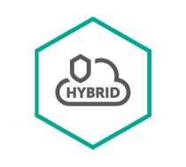 Kaspersky Lab Hybrid Cloud Security