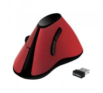 LogiLink TI020 mouse Right-hand RF Wireless Optical 1200 DPI