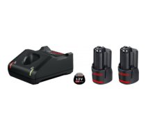 Bosch 1 600 A01 9RD cordless tool battery / charger Battery & charger set