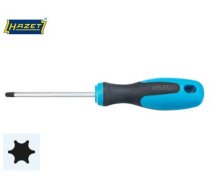 RUUVIMESELI, TORX 810-T20