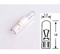 Plastic socket bulb