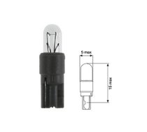 Plastic socket bulb